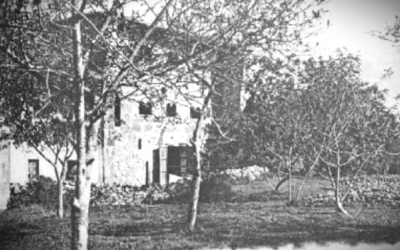 CARDOSO