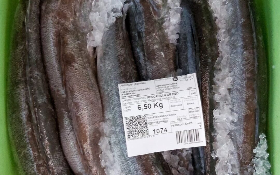 AÑO 1886, ¿SABÉIS A CUÁNTOS CÉNTIMOS DE PESETAS  SE VENDÍA EL KILO DE MERLUZA HACE 139 AÑOS?