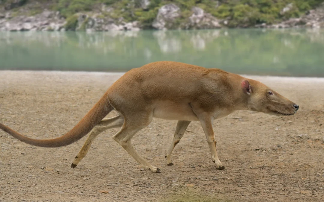 ¡A NADAR! EVOLUCIÓN DE LAS BALLENAS DE LA TIERRA A LA MAR. 