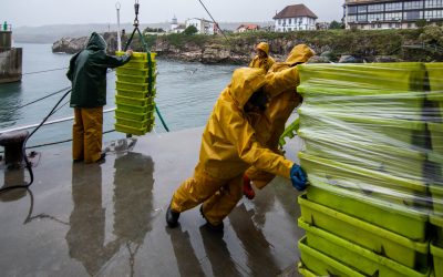 ¿SABÉIS LAS CONSECUENCIAS DE QUE SE CONSUMA CADA VEZ MENOS PESCADO? 