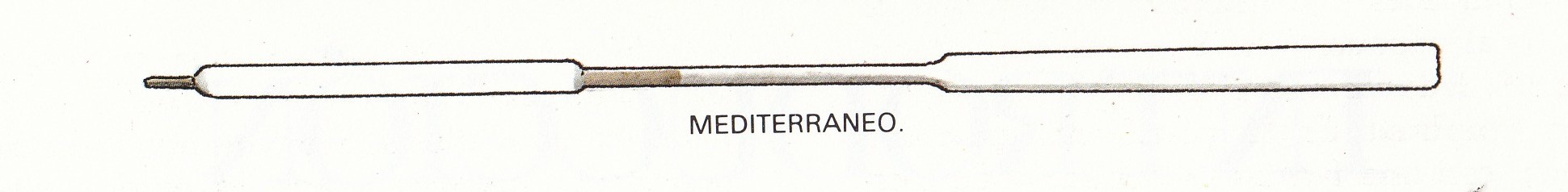 Foto (4) Remo del Mediterráneo