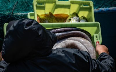 AÑO 1932,  LOS MARINEROS SALTAN A TIERRA…