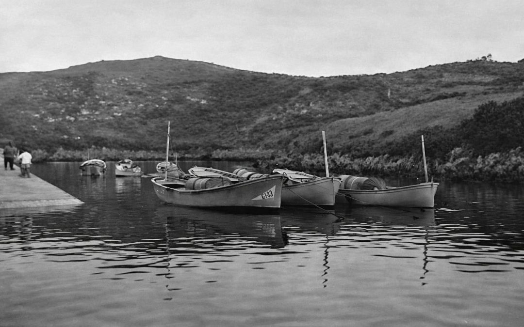 ¿SABÍAIS QUÉ EL PUERTO DE NIEMBRO FUE MUY IMPORTANTE EN LA PESCA DE MARISCO?