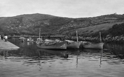 ¿SABÍAIS QUÉ EL PUERTO DE NIEMBRO FUE MUY IMPORTANTE EN LA PESCA DE MARISCO?